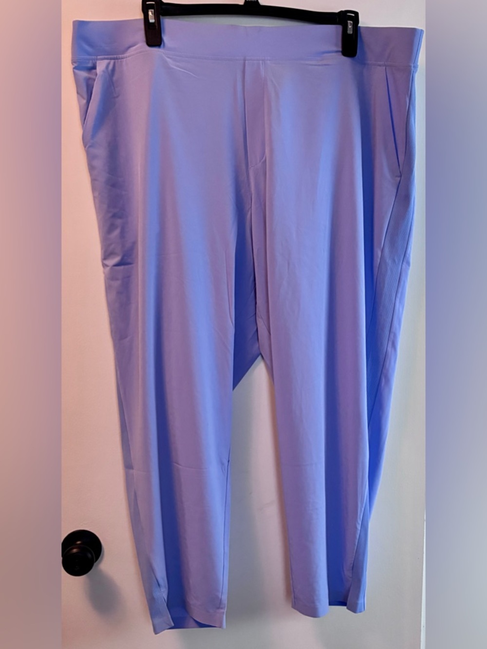 Athleta Light Lavender Brooklyn Ankle Pant size 24